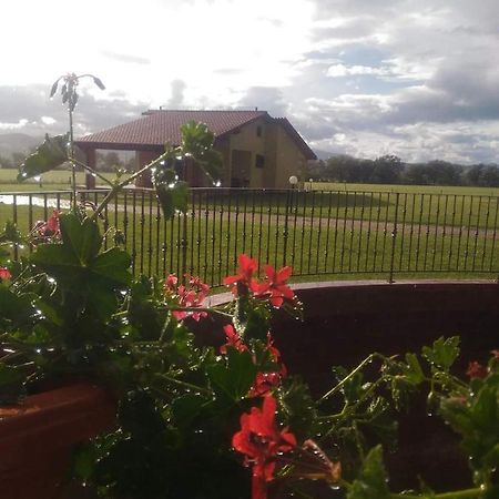 Agriturismo Oasi Del Pianettino Campagnatico المظهر الخارجي الصورة