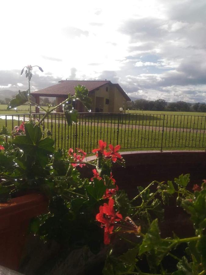 Agriturismo Oasi Del Pianettino Campagnatico المظهر الخارجي الصورة