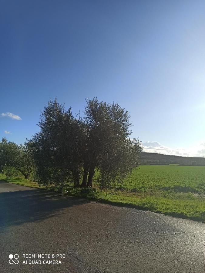 Agriturismo Oasi Del Pianettino Campagnatico المظهر الخارجي الصورة
