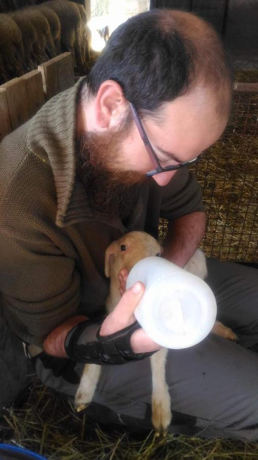 Agriturismo Oasi Del Pianettino Campagnatico المظهر الخارجي الصورة