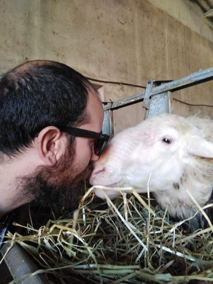 Agriturismo Oasi Del Pianettino Campagnatico المظهر الخارجي الصورة
