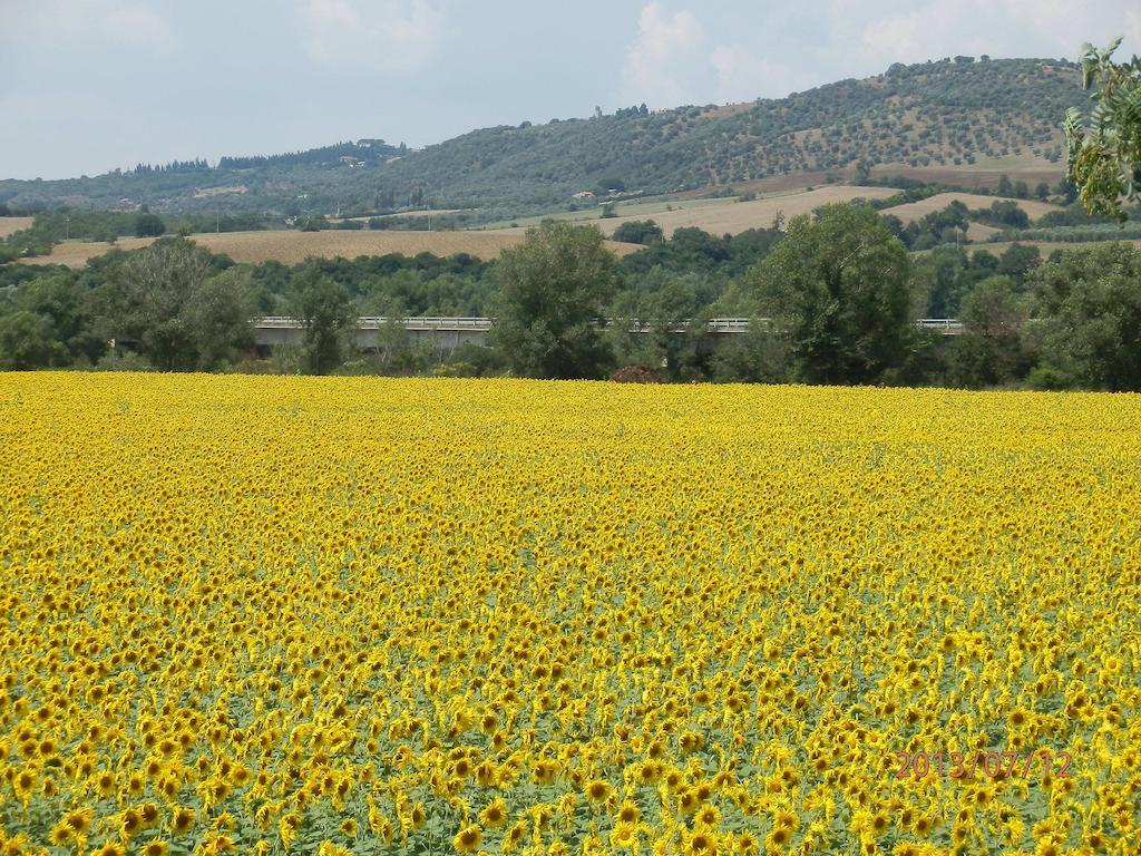 Agriturismo Oasi Del Pianettino Campagnatico المظهر الخارجي الصورة